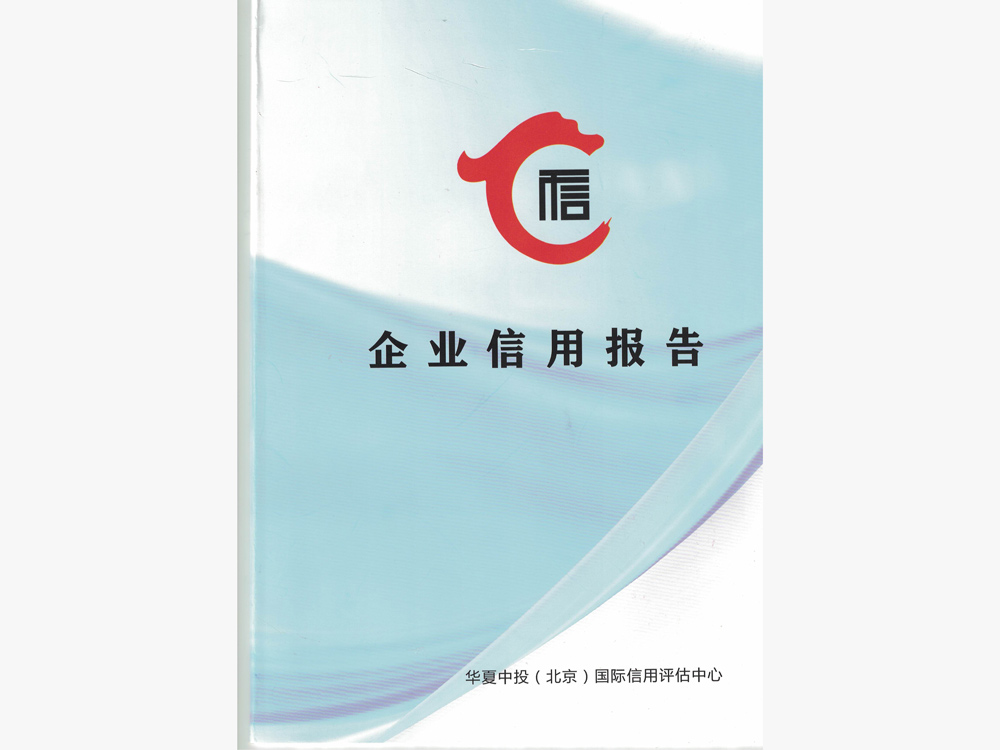 企业信用报告